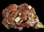 Large Red & Brown Vanadinite Crystals on Matrix - Morocco #42211-2